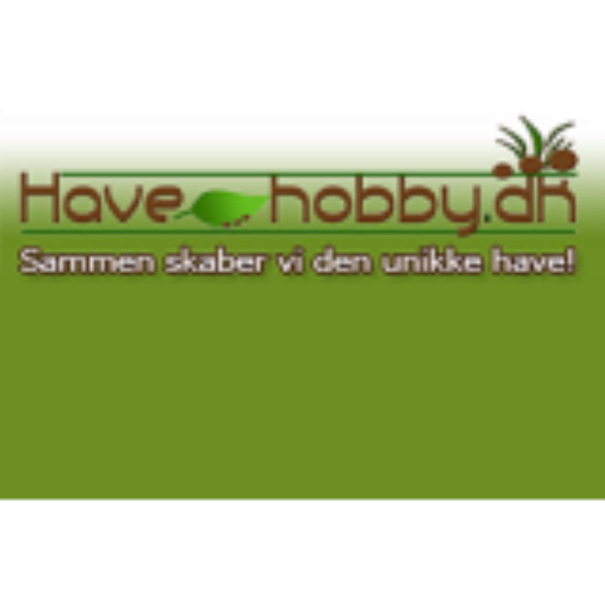 HaveHobby