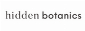 hiddenbotanicsweddings
