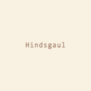 Hindsgaul Hair