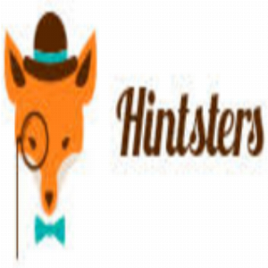 HintstersSurveys IT - D
