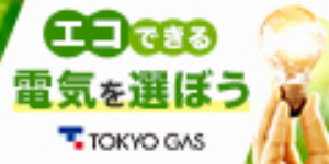 home tokyo-gas co jp