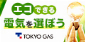 home tokyo-gas co jp