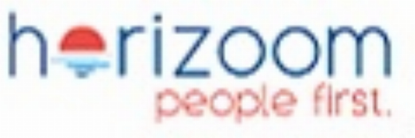 horizoom-Panel - Mit Umfragen Geld verdienen