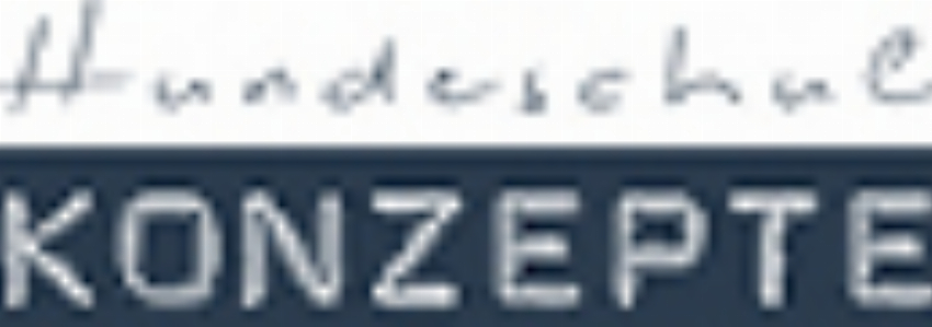 Hundeschulkonzepte