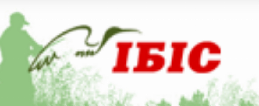 IBIS