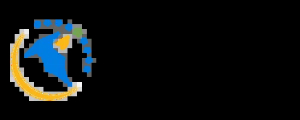 IJSmart Publishing