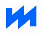 IM BytePlus Realtime