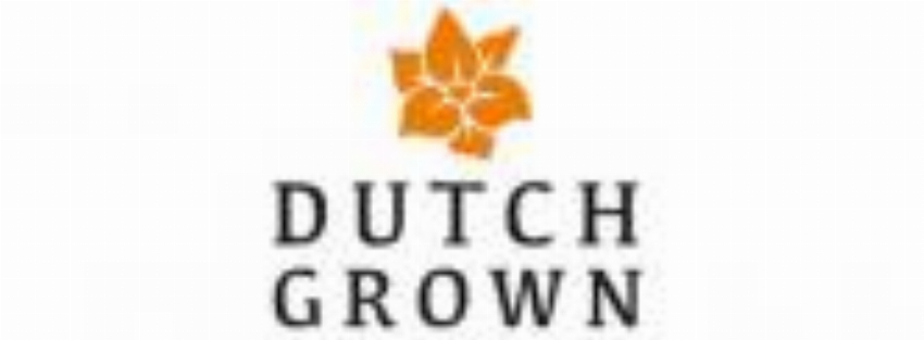 IM DutchGrown Realtime