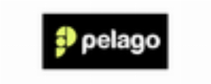 IM Pelago Realtime