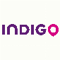 Indigo Neo