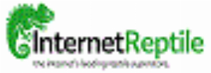 internetreptile