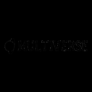 Into The Multiverse Inc