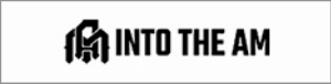 intotheam