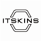 ITSKINS