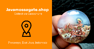 javamossagate shop