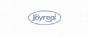 Joyrealtoys