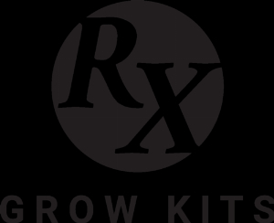 JSAK Corporation Inc