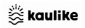 Kaulike Shop - Surf Snow Skate