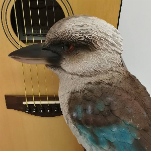 Kookaburra Music Tree