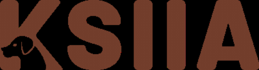 KSIIA Orthopedic Dog Beds Let s Collaborate