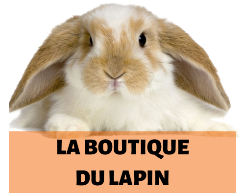 laboutiquedulapin