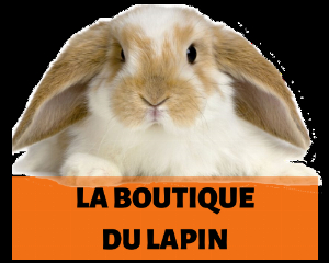 laboutiquedulapin