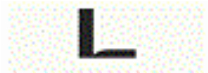 Laconicum