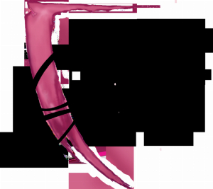 Le Grand Verre Wines