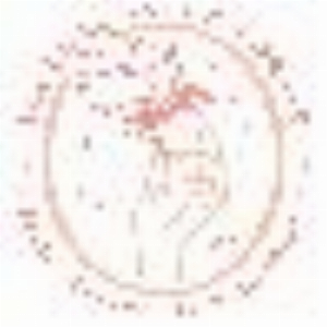 les cotons de romane - Standard