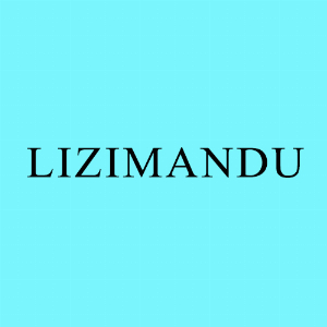lizimandu-lap