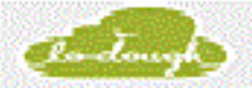 Kortingscode voor FO Offer bij Lo-Dough