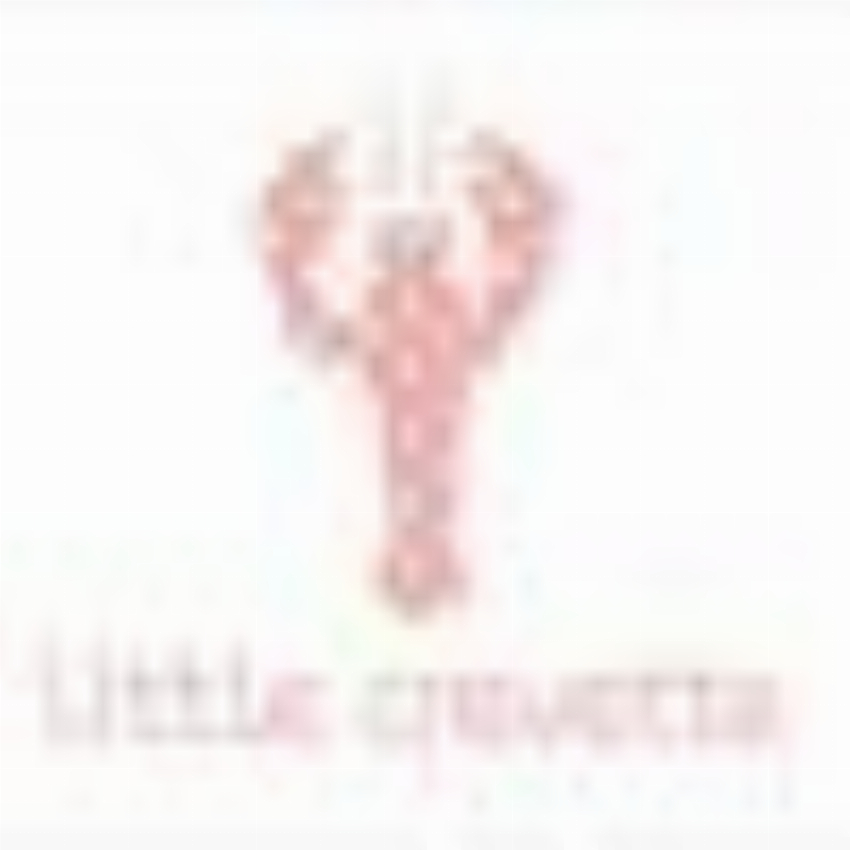 Lttle Crevette - Standard