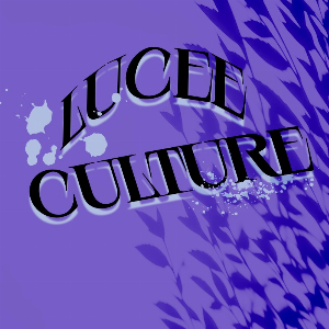 Lucee Culture