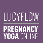 LucyFlow