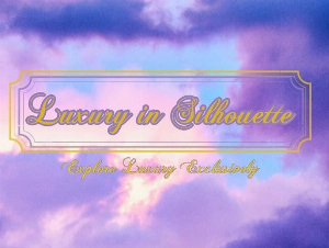 luxuryinsilhouette