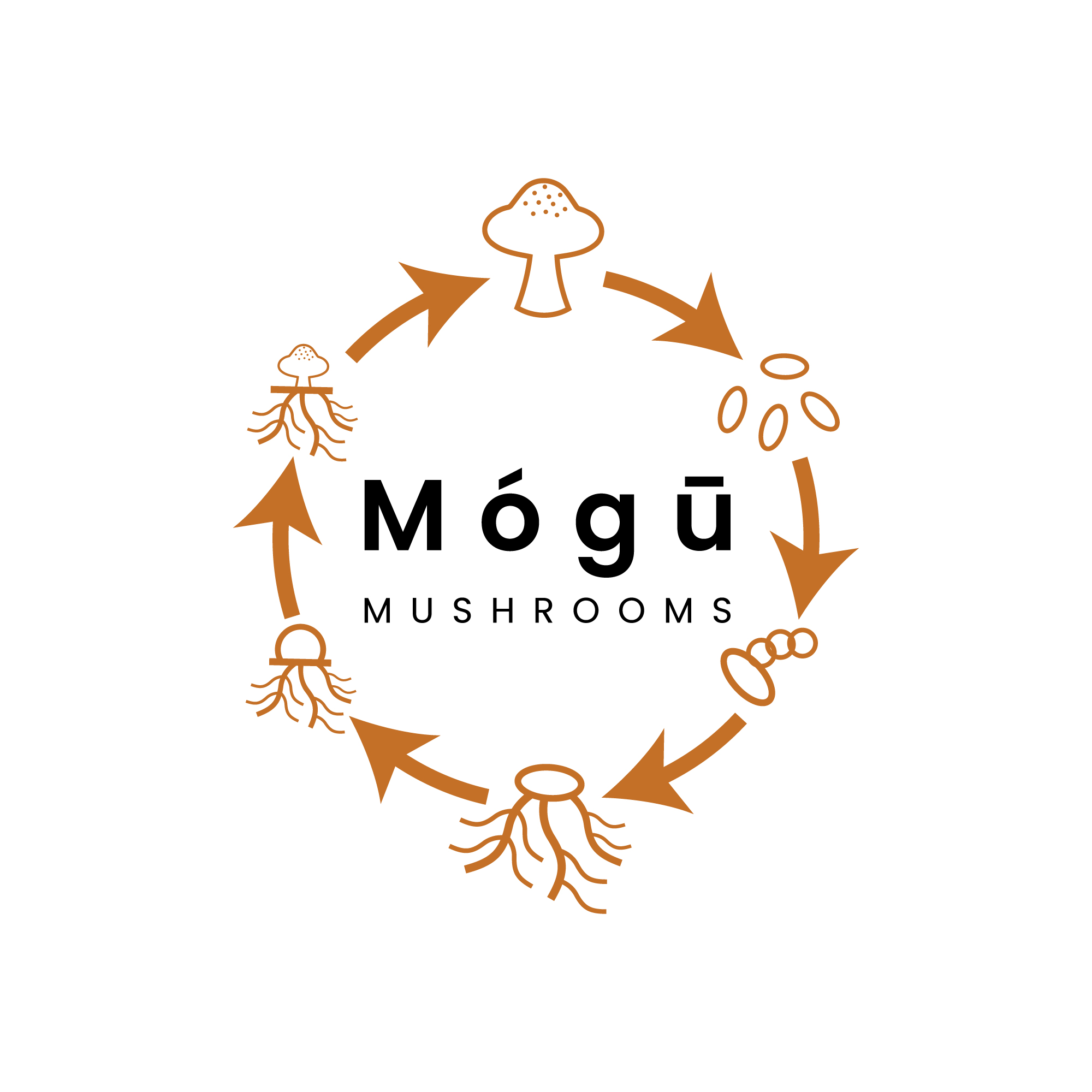 mogumushrooms