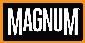Magnum Boots