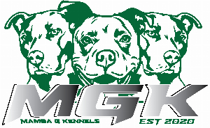 Mamba G Kennels