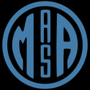 MASA Chips