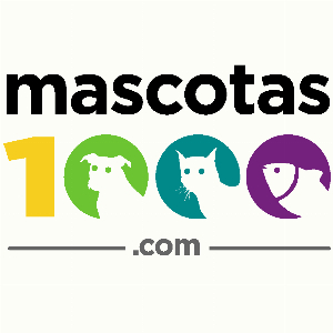Mascotas1000