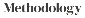 Methodology Inc