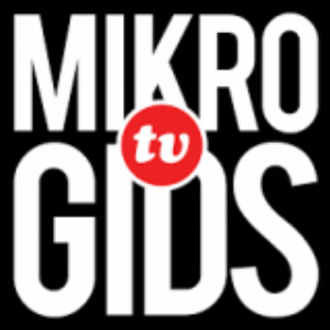 Mikrogids