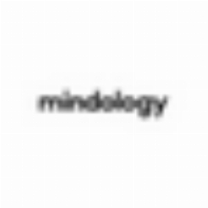 Mindology - Standard