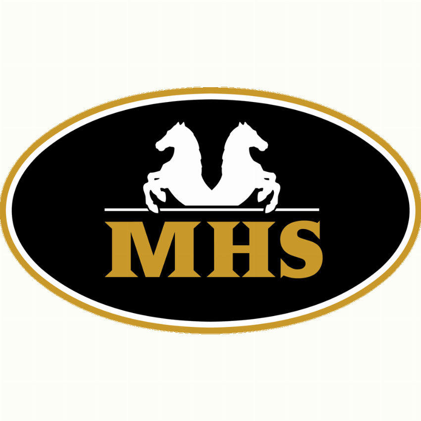 Minihorseshop