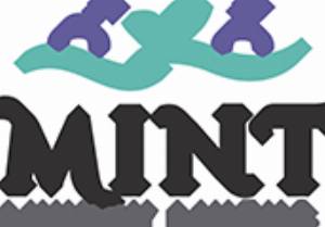 Mint Luxury Linens
