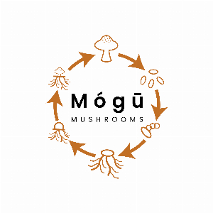 mogumushrooms