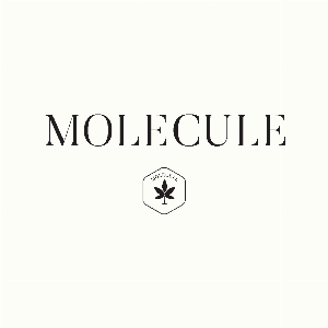 MoleculeHealth
