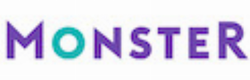 Monster Resume Services B2C