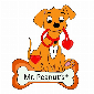 Mr Peanut s Premium Products