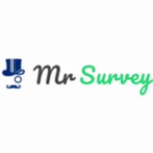 Mr Survey CZ